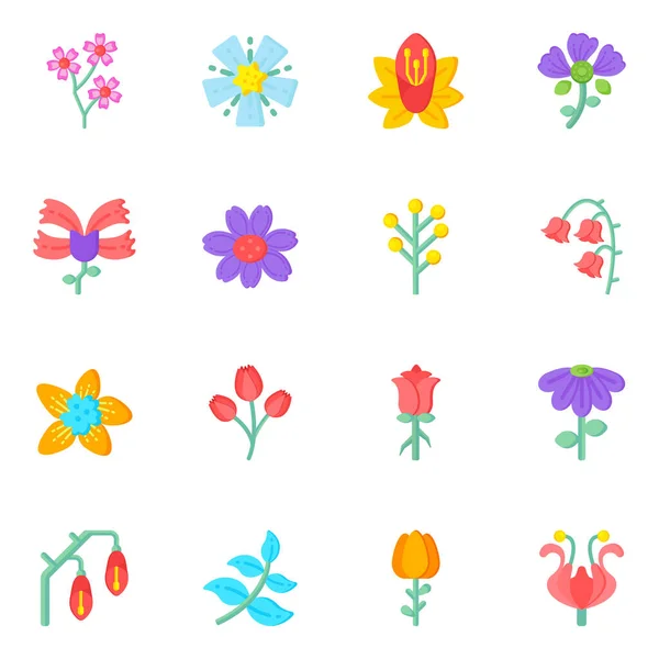 Conjunto Flores Hojas Ilustración Vectorial — Vector de stock