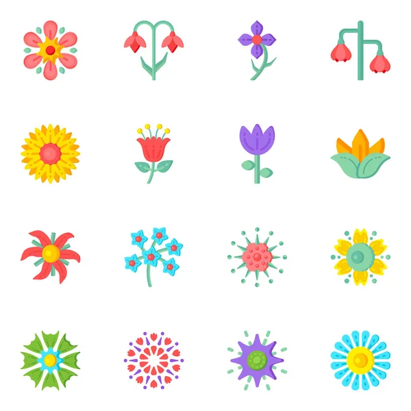 Набір Квітів Барвисті Ікони Ізольовані Білому Тлі — стоковий вектор