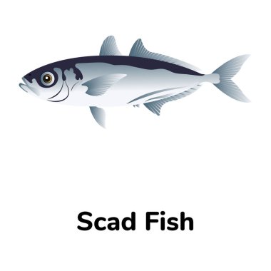 Balık ikonu. vektör illüstrasyonu  