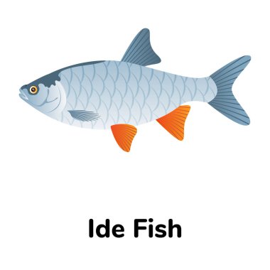 Balık ikonu. vektör illüstrasyonu  