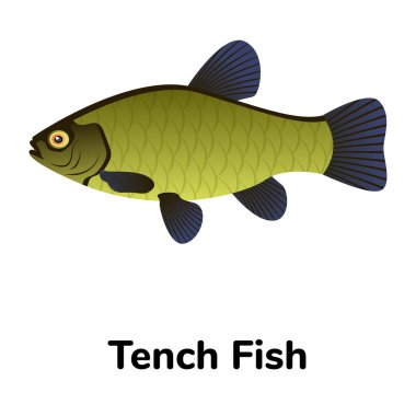 Balık ikonu. vektör illüstrasyonu  