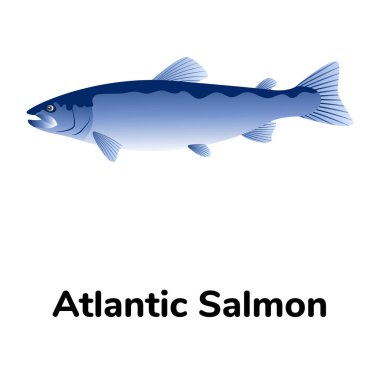 Balık ikonu. vektör illüstrasyonu  