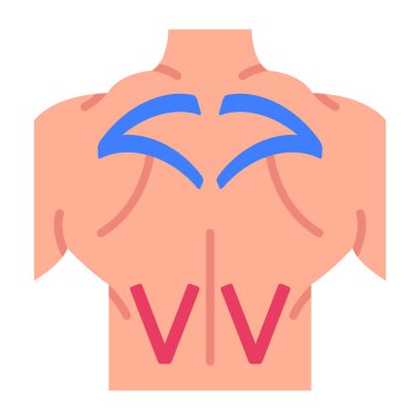 İnsan sırtı. Basit resimleme