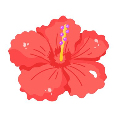 Amberçiçeği, illüstrasyon, beyaz arkaplanda vektör.