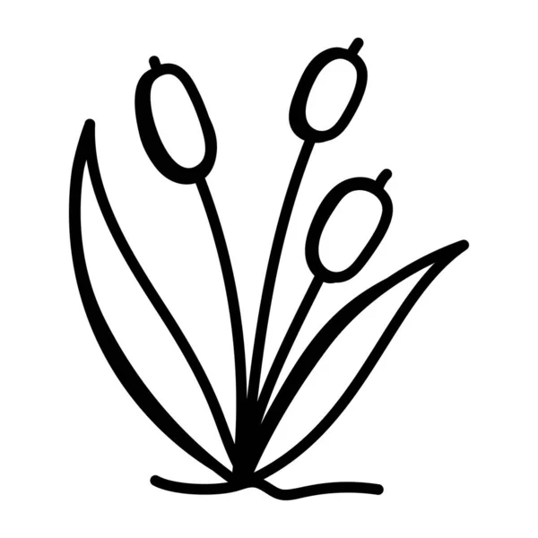 Vektorová Ilustrace Krásného Květinového Vzoru — Stockový vektor