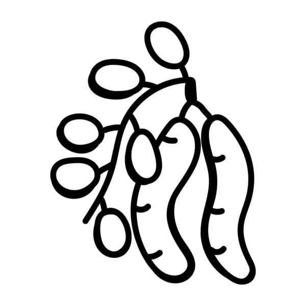 Tamarind Plant Doodle Icon Скачать — стоковый вектор