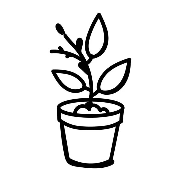 Rostlina Listí Vektorové Ilustrace — Stockový vektor