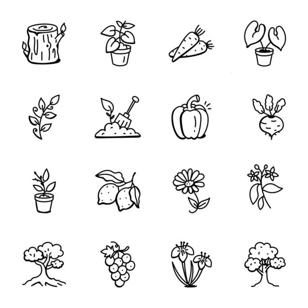 植物和花园标志的病媒图解 为网络收集温室和植物种群符号 — 图库矢量图片