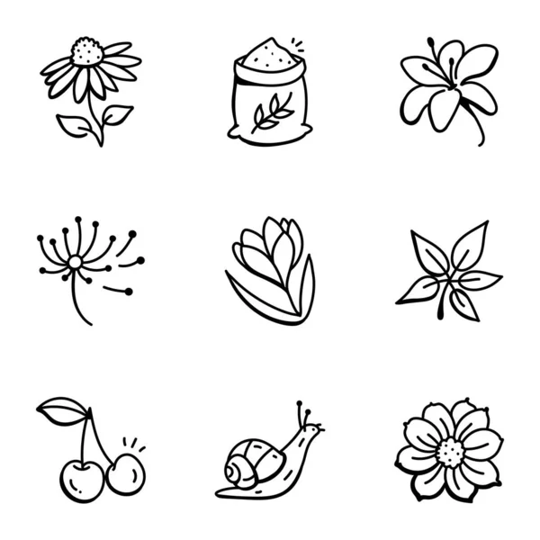 Векторная Иллюстрация Цветочного Ботанического Символа Коллекция Природных Органических Знаков Запаса — стоковый вектор