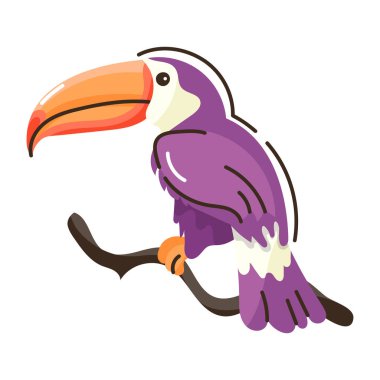 Toucan bird çizgi film vektör illüstrasyon grafik tasarımı