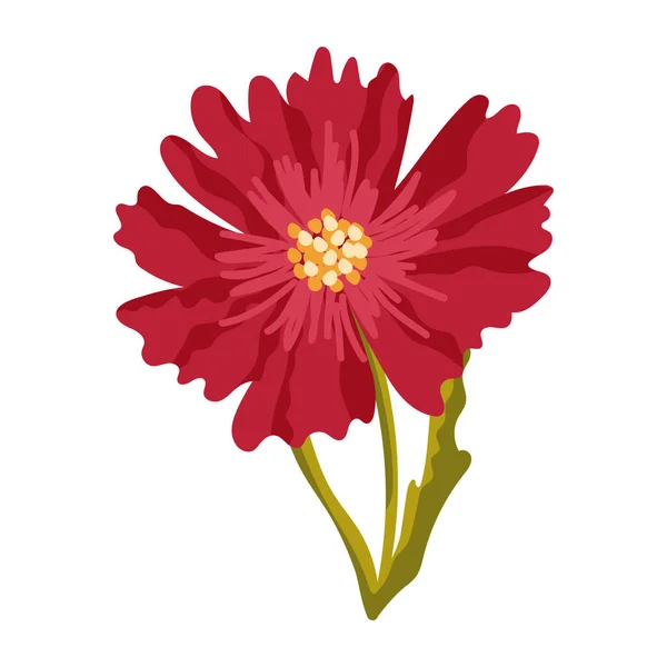 Schöne Blume Vektor Illustration Design — Stockvektor