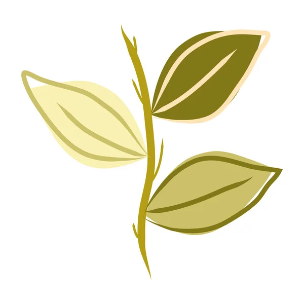 Green Leaves Plant Leafs Vector Illustration Design — Image vectorielle