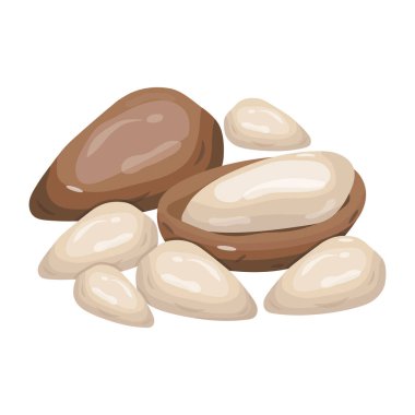 Fındık ve tohumların vektör çizimi. Ağ için gıda ve sebze sembolü.