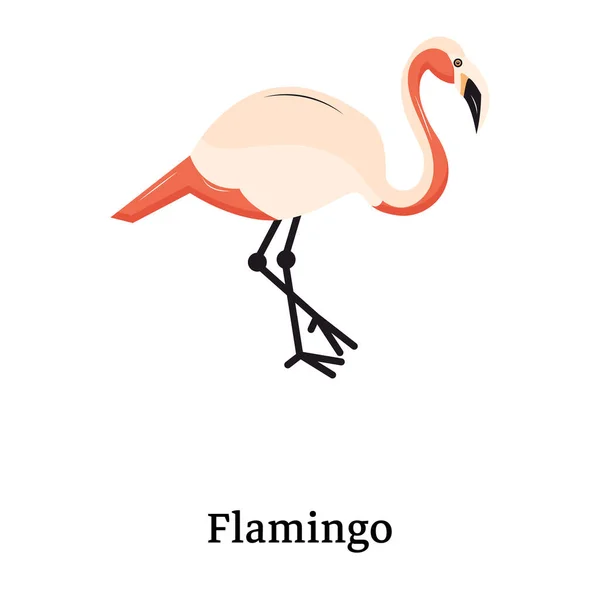 Ikona Flaminga Kreslená Ilustrace Ptačích Vektorových Ikon Pro Web — Stockový vektor