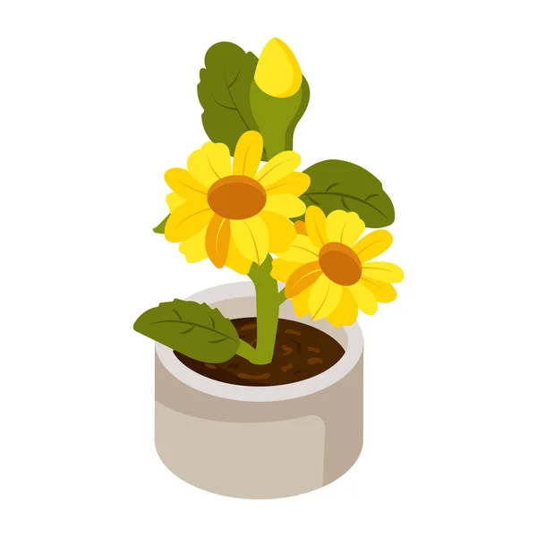 Schöne Blumen Topf Vektor Illustration Design — Stockvektor
