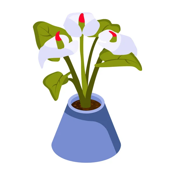 花卉和植物矢量图解设计 — 图库矢量图片