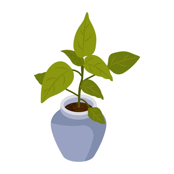 Folhagem Houseplant Design Moderno Ilustração Vetorial — Vetor de Stock