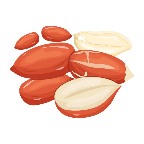 Amendoins Design Moderno Ilustração Vetorial — Vetor de Stock