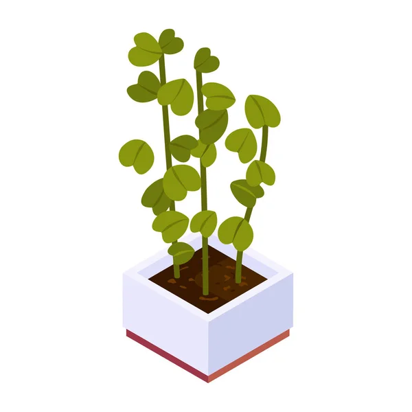 Plant Modern Design Vector Illustration — 스톡 벡터