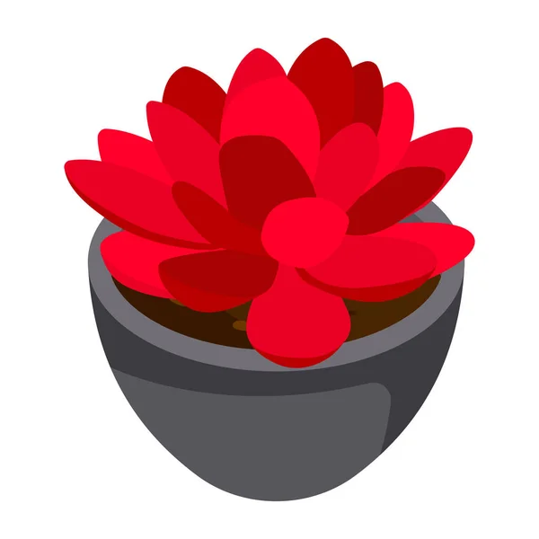 红色Succulent现代设计 矢量图解 — 图库矢量图片