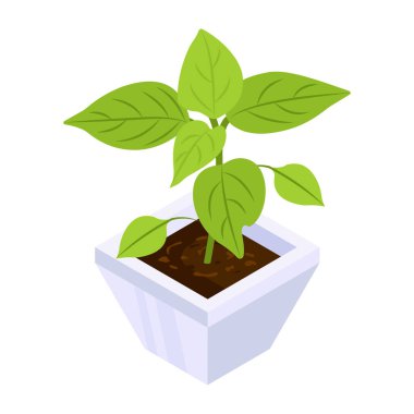 Leaf Houseplant modern tasarım, vektör illüstrasyonu