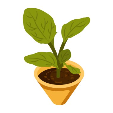 Yeşil yapraklı bitki kabı vektör çizimi tasarımı