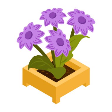 Echinacea Purpurea modern tasarım, vektör illüstrasyonu