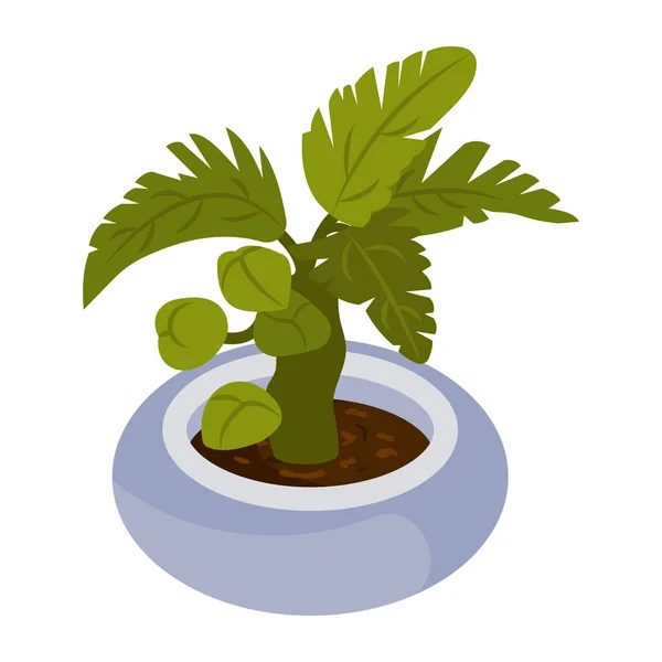 Pflanzenkübel Mit Zimmerpflanze Vektor Illustration Design — Stockvektor