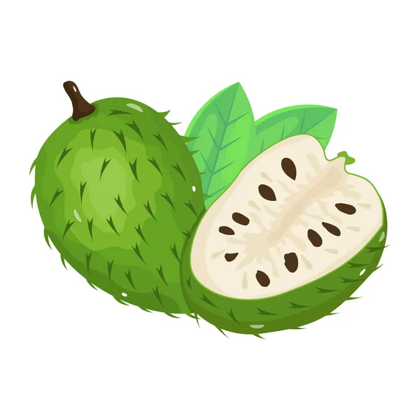 Ilustración Vectorial Una Fruta Tropical — Vector de stock