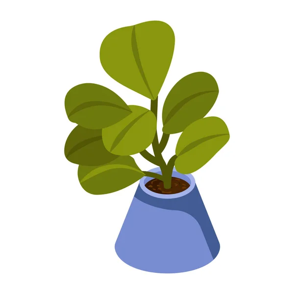 Jade Plant Design Moderne Illustration Vectorielle — Image vectorielle