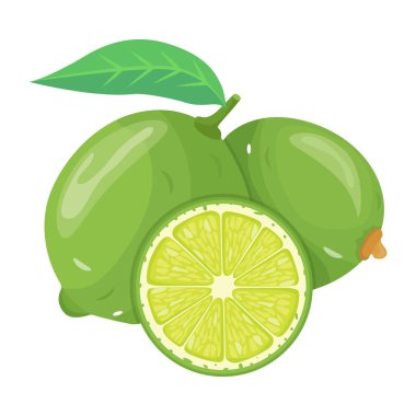 Clementine Fruit modern tasarım, vektör illüstrasyonu