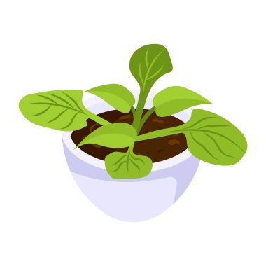 Dekoratif bitki modern tasarım, vektör illüstrasyonu