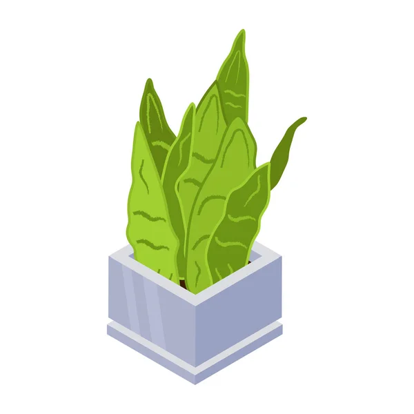 Snake Plant Diseño Moderno Ilustración Vectorial — Vector de stock