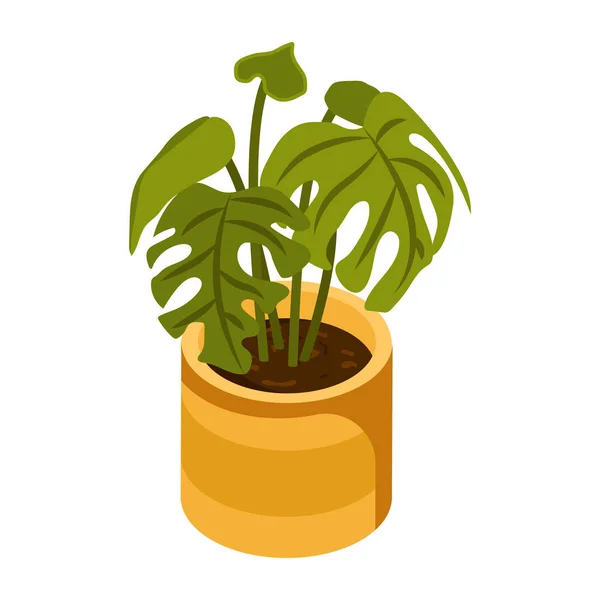 Swiss Plant Modern Design Vector Illustration — стоковий вектор