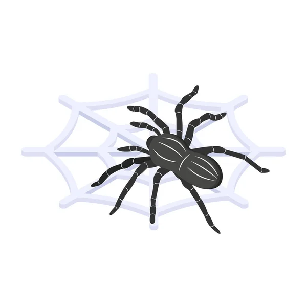 Spider Web Nowoczesny Design Ilustracja Wektor — Wektor stockowy