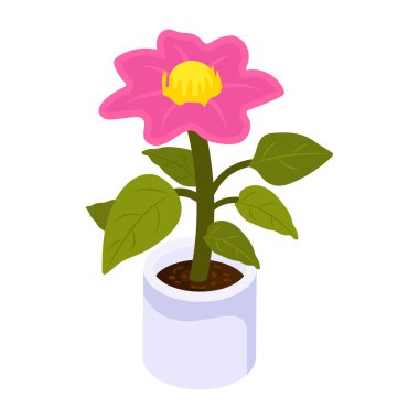 Çiçek açan modern tasarım, vektör illüstrasyonu