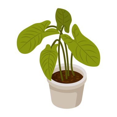 Neftis bitkisel modern tasarım, vektör illüstrasyonu