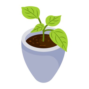 Saksı bitkisi modern tasarım, vektör illüstrasyonu