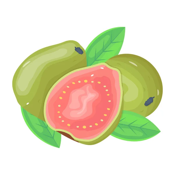 Guavas Diseño Moderno Ilustración Vectorial — Vector de stock