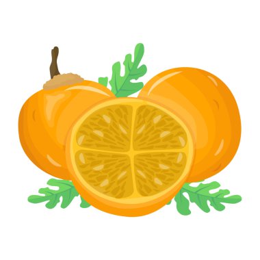 Mandarin modern tasarımı, vektör illüstrasyonu