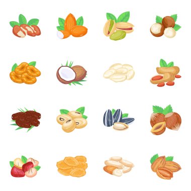 Ceviz Koleksiyonu Isometric Simgeleri