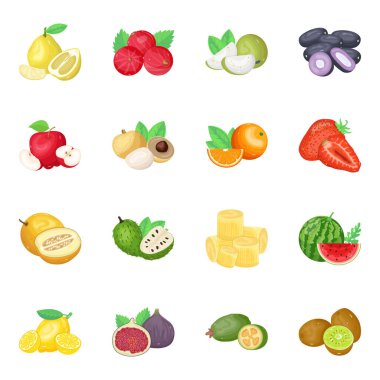 Yiyecek ve meyve sembolünün vektör çizimi. meyve ve sebze koleksiyonu.