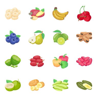 İzole edilmiş yiyecek ve sebze sembolü. Sağlıklı ve vejetaryen hisse senedi temsili koleksiyonu.