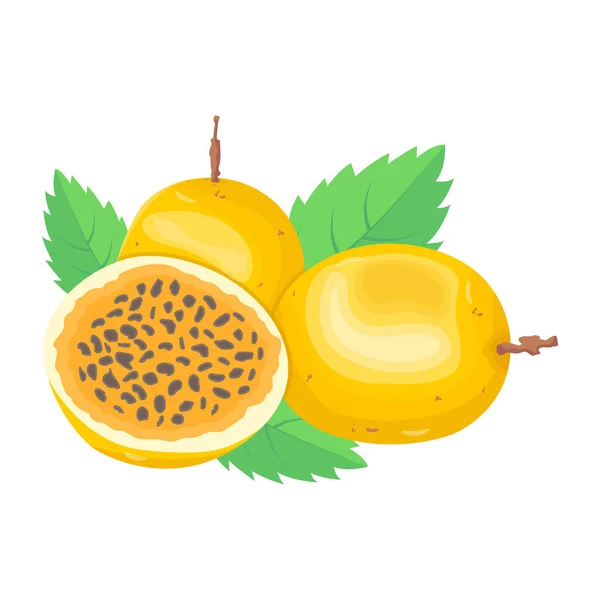 熟した果実と葉のベクトル図 — ストックベクタ