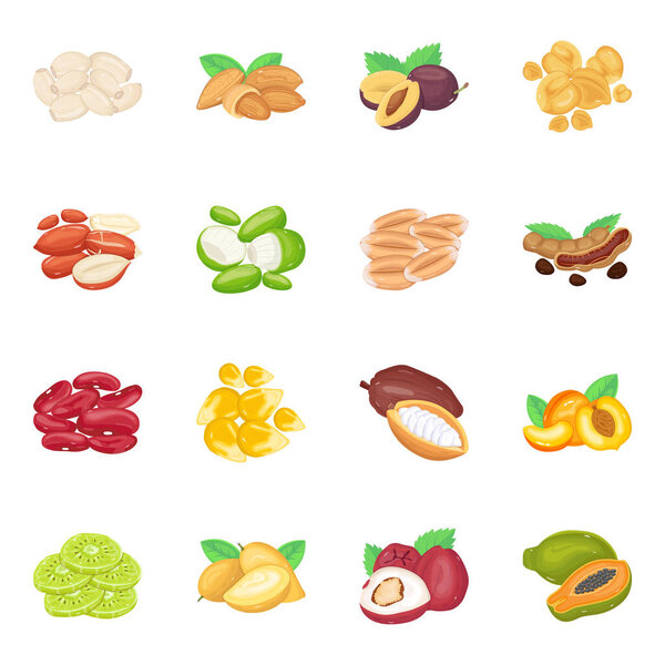 vector illustration of nuts and seeds icon. set of natural and vegetarian stock symbol for web.
