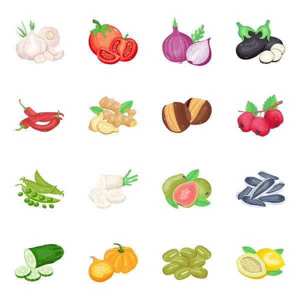 Vector Illustratie Van Voedsel Groente Symbool Verzameling Van Gezonde Vegetarische — Stockvector