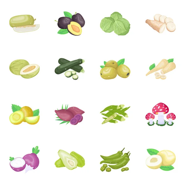 Vector Illustratie Van Voedsel Groente Symbool Verzameling Van Gezonde Vegetarische — Stockvector