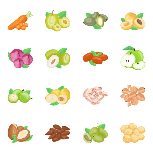 Ensemble Icônes Isométriques Aux Fruits Noix — Image vectorielle