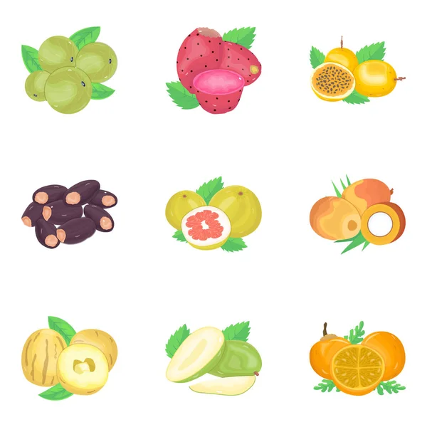Pack Iconos Isométricos Alimentos Ecológicos — Vector de stock