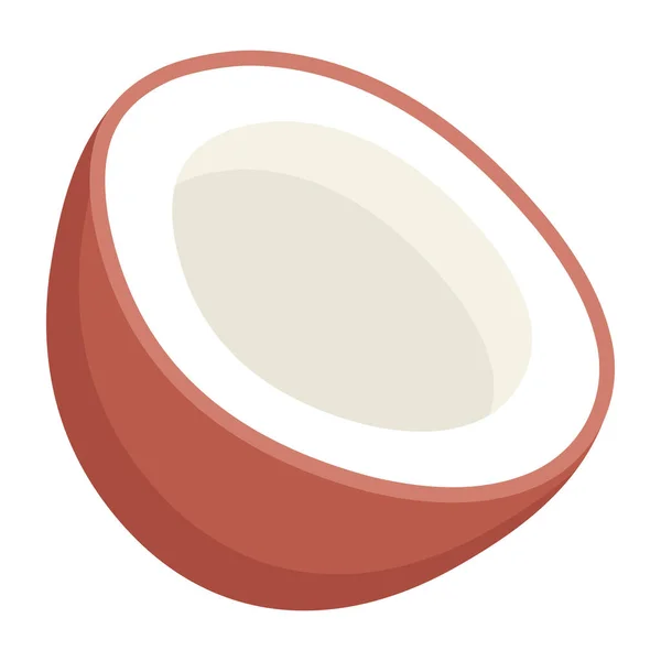 Coconut Modern Design Vector Illustration — Stock Vector
